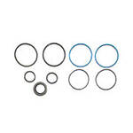 Power Steering Cylinder O-Ring and Seal Kit