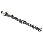 Camshaft With Nut