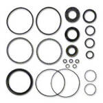 Power Steering Cylinder O-ring and Seal Kit