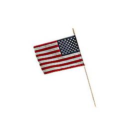 American Flag 12" x...